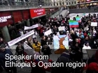 Protest against Carl Bildt, Meles Zenawi & Swedish Oil Firm Lundin in Stockholm, Sweden