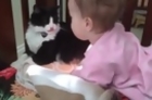 Cat Licks the Baby's Head