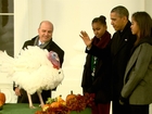 Obama pardons National Thanksgiving Turkey 'Popcorn'