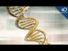 5 Genetic Discoveries in 2013