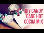 DIY Candy Cane Hot Chocolate { Easy Homemade Christmas / Holiday Gift Idea }
