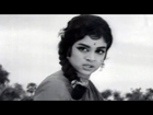 Buddhimanthudu Movie Songs - Havvare Havva - ANR, Vijaya Nirmala - HD