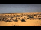 סרט פרוייקט גמר תערוכה שלומי מיר, משוטט במדבר