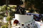 Controversy Surrounds 2014 Tournament of Roses Parade