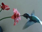 Solar powered Hummingbird
