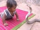 bebek ile kobra yılanı
