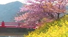 KARUNESH - Japanese Spring